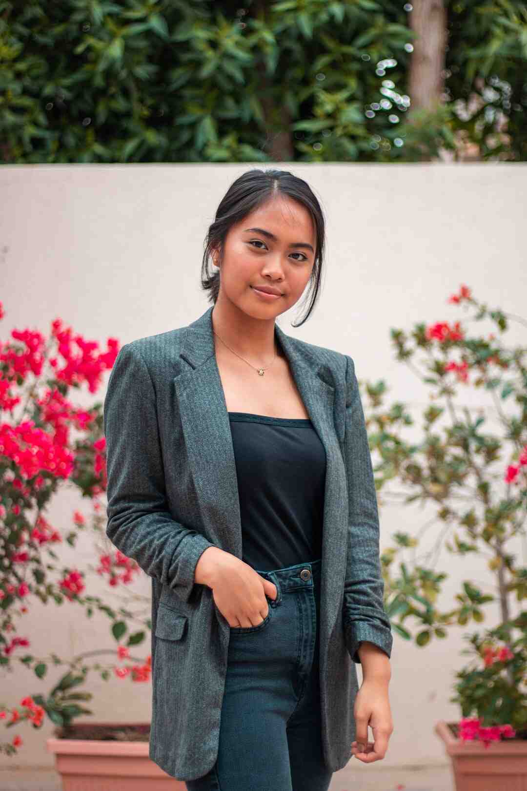 Pourquoi WhatsApp affiche compte professionnel ?