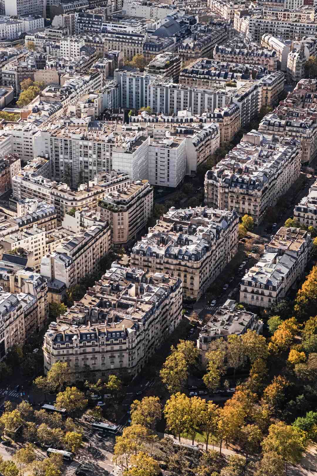 Comment est constitué le conseil départemental ?