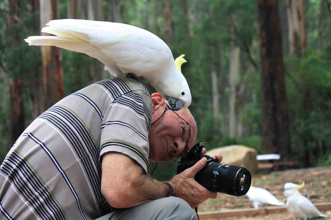 Quelle aide en 2022 ?