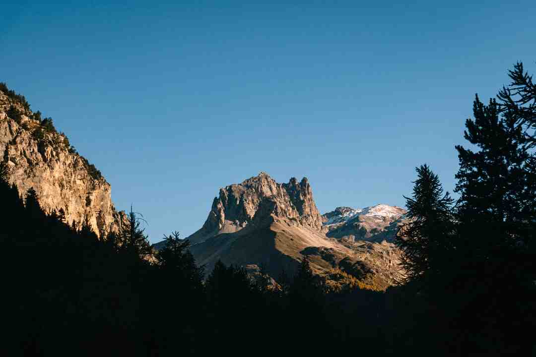 Quelle est la différence entre les origines et la nationalité ?