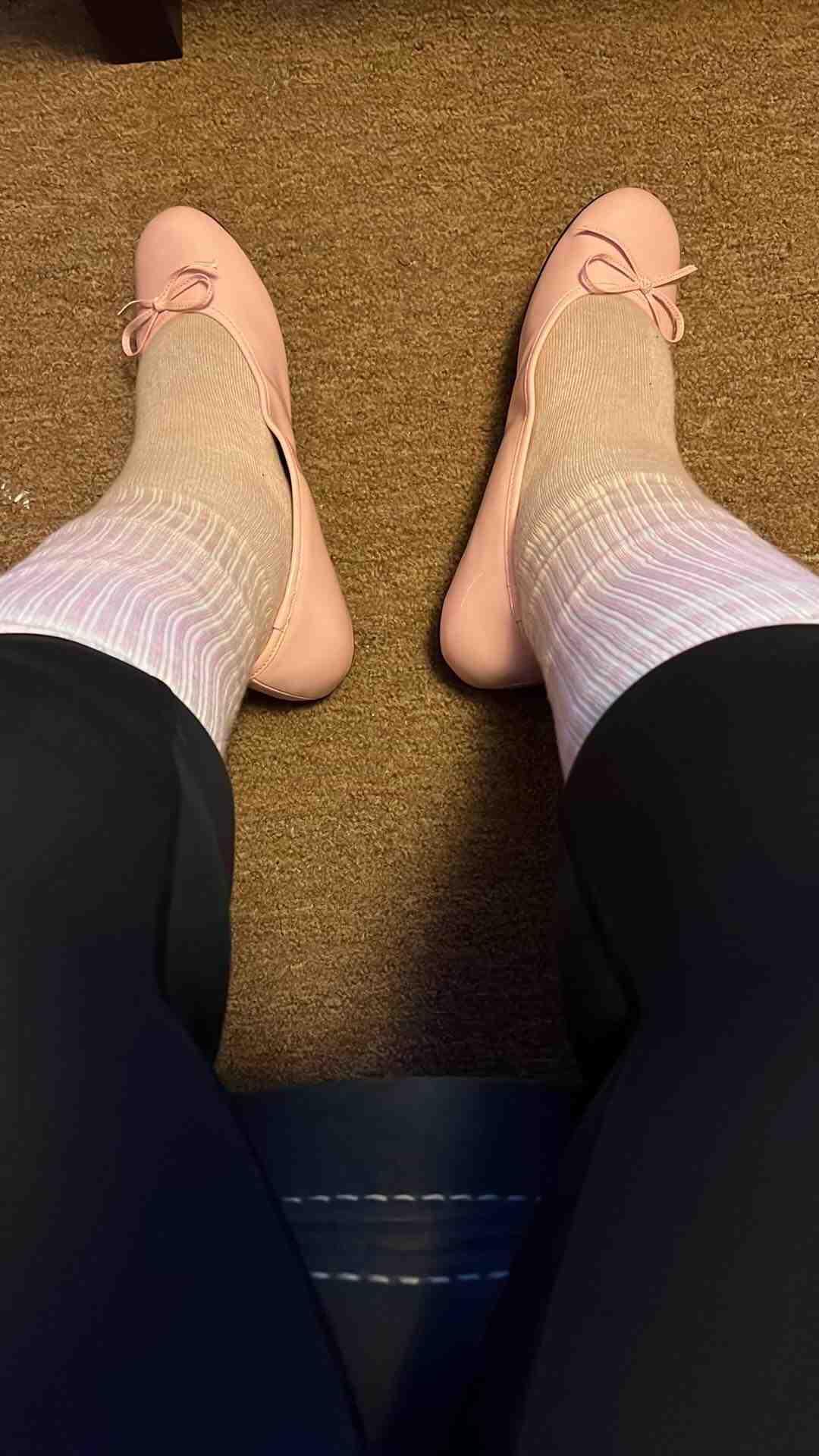 Qui gouverne la France entre 1945 et 1958 ?