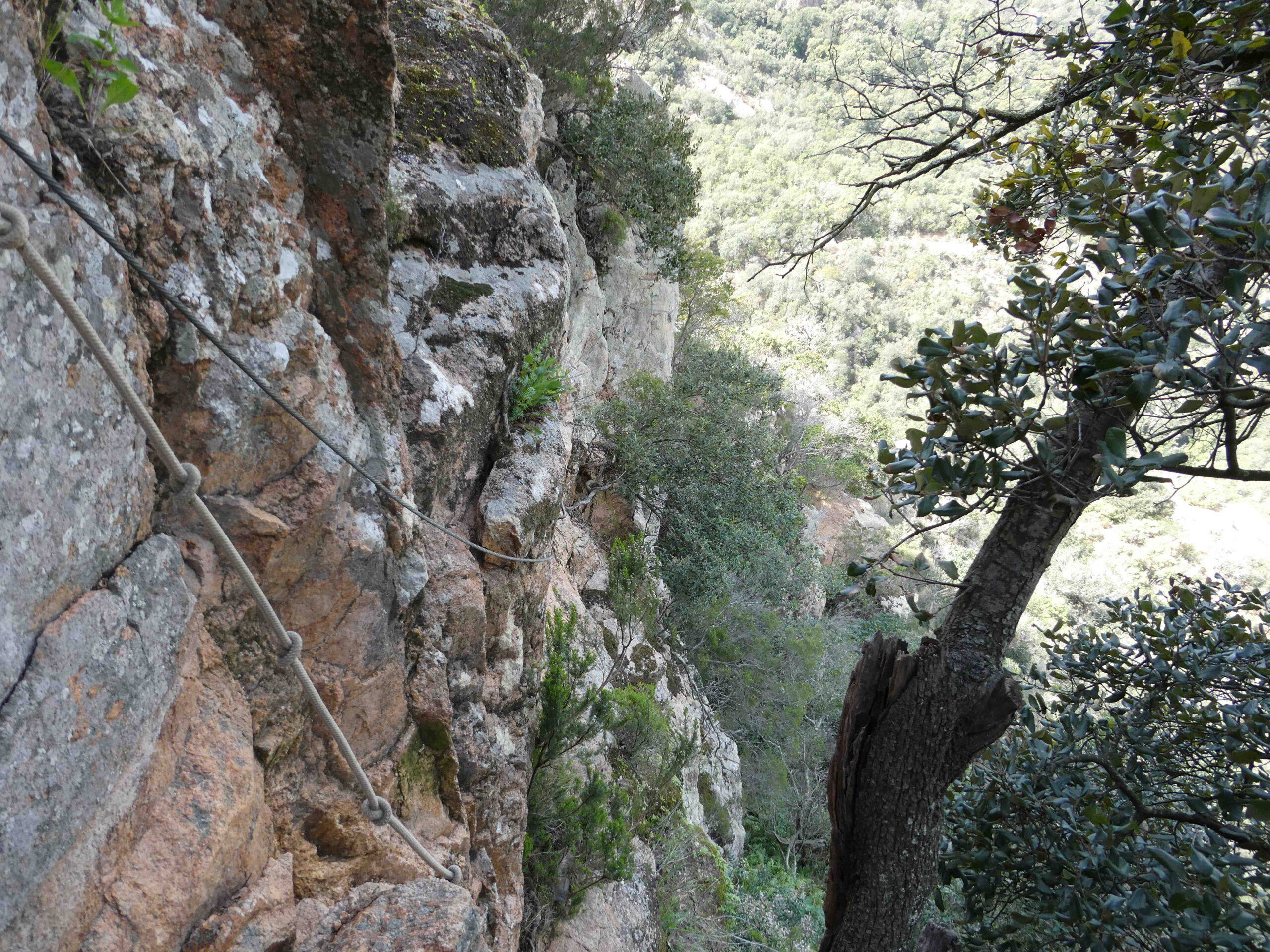 Qui n'a pas le droit de vote aux États-Unis ?