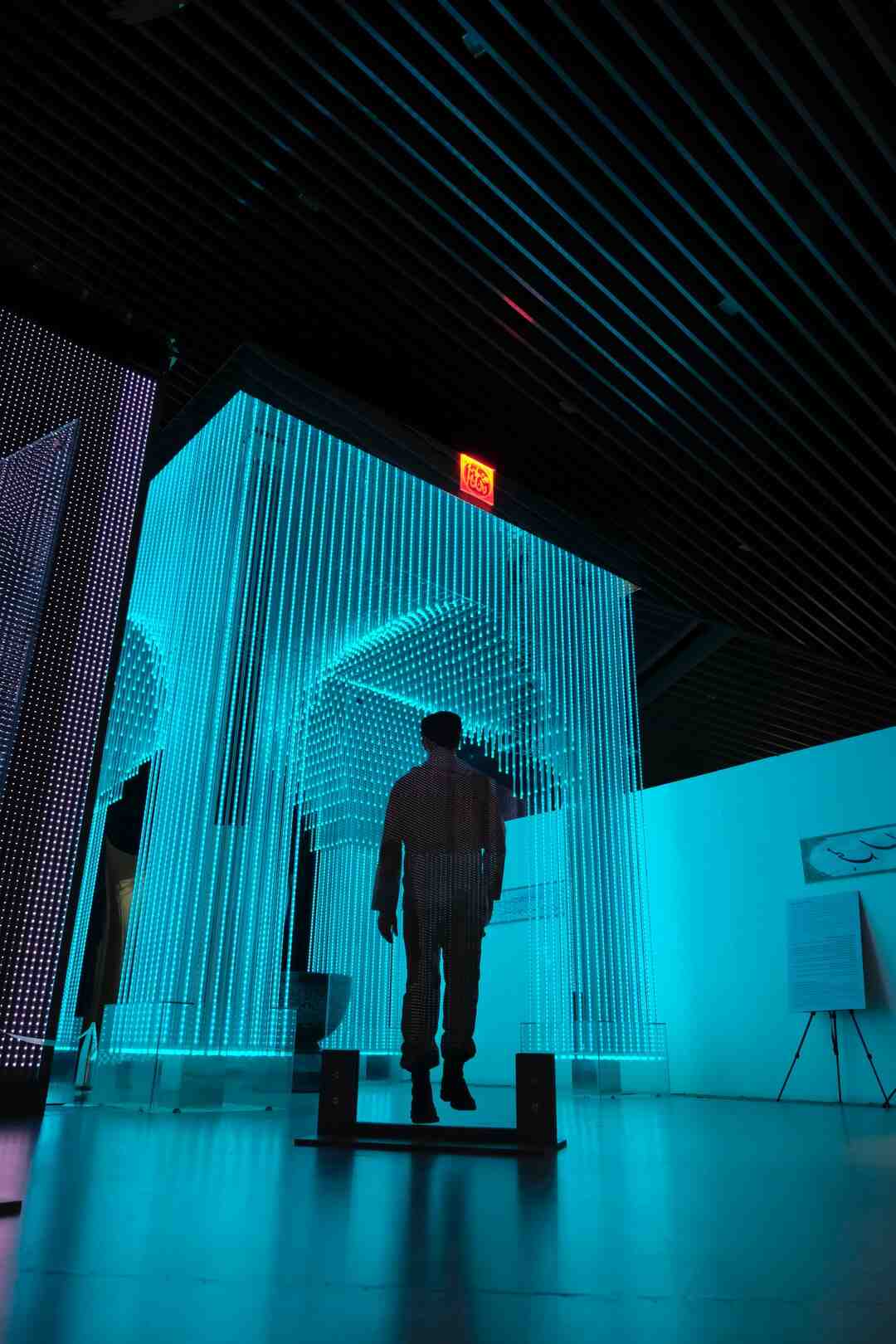 Qui sont les représentants de gauche ?