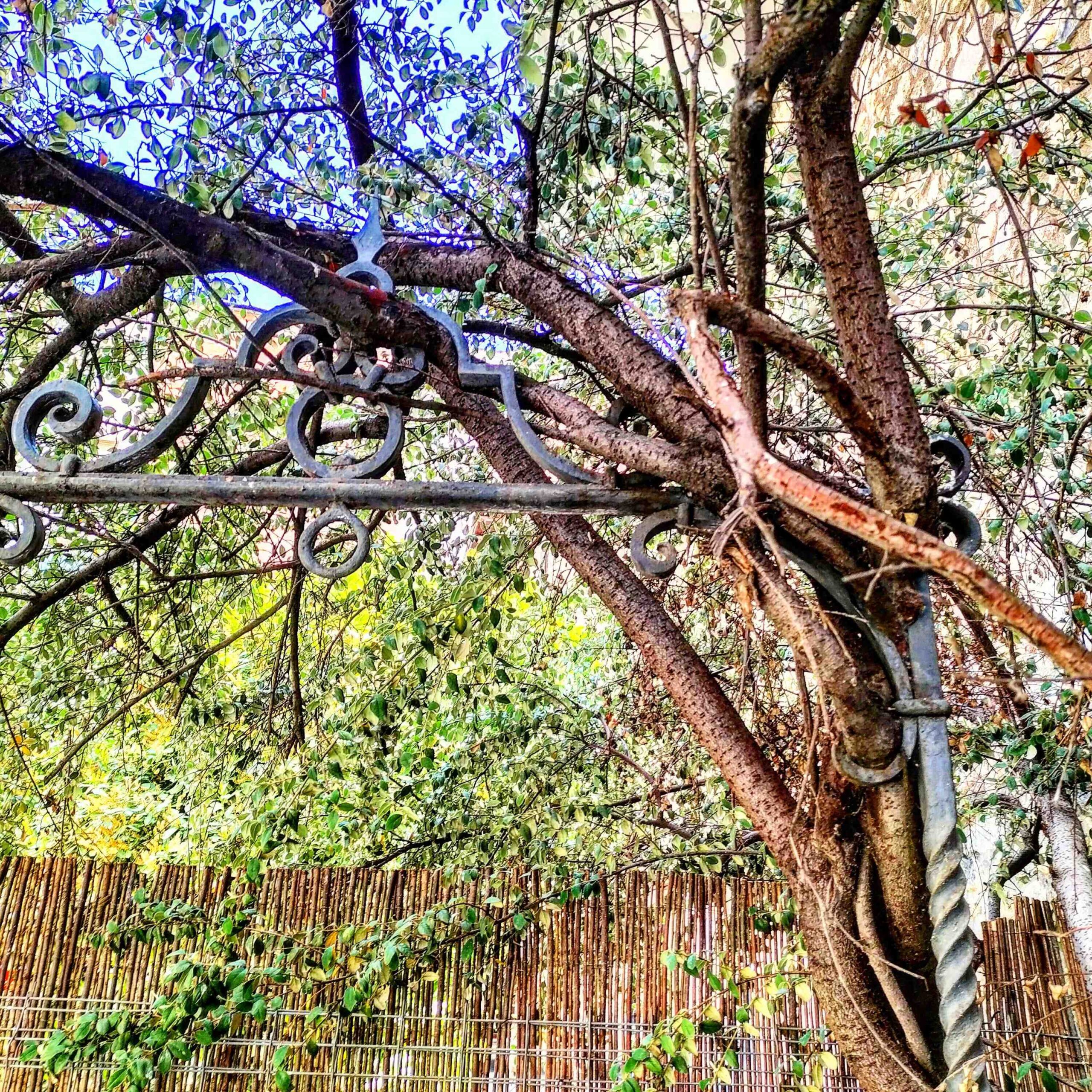 Qui donne la prime carburant ?