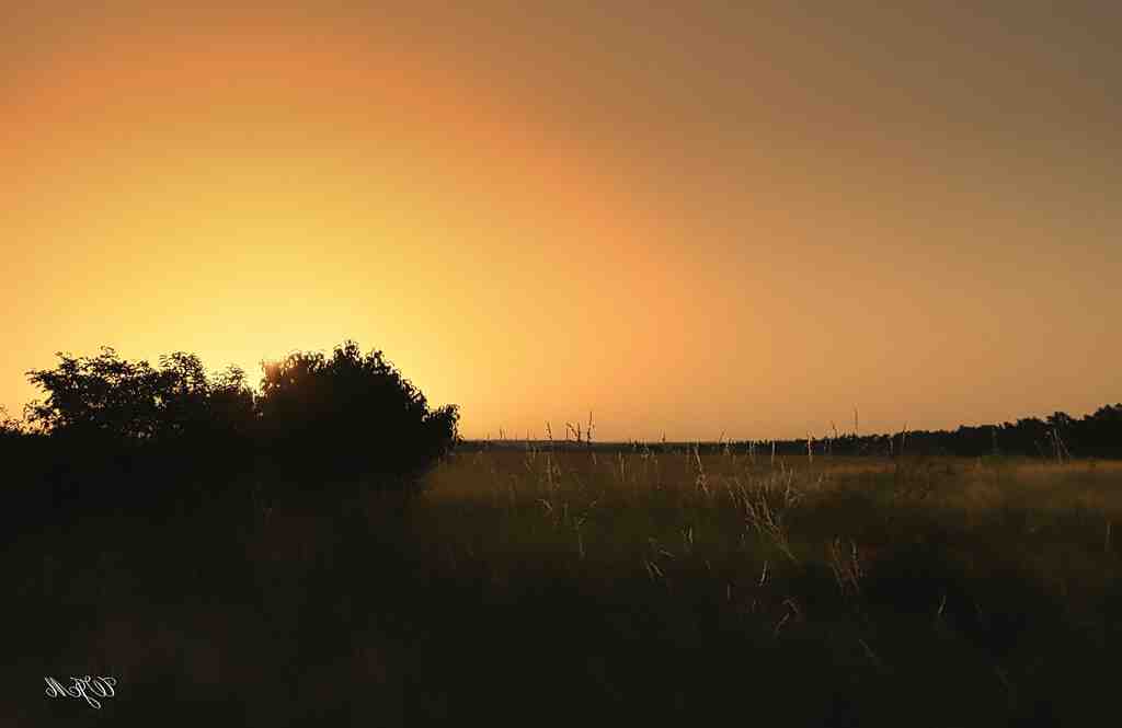 Quel président français a fait 2 mandats ?