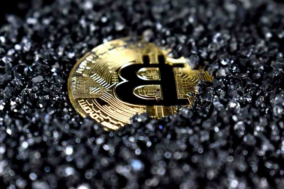 Quelle crypto sur le long terme ?
