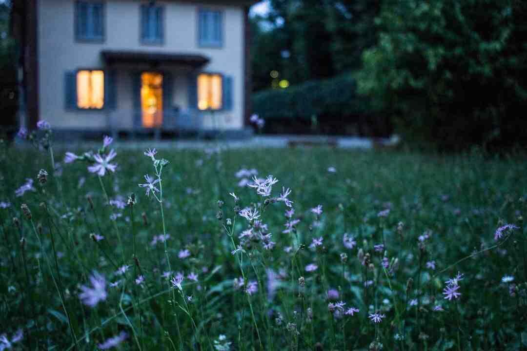 Quelles sont les trois grandes catégories d'assurance ?