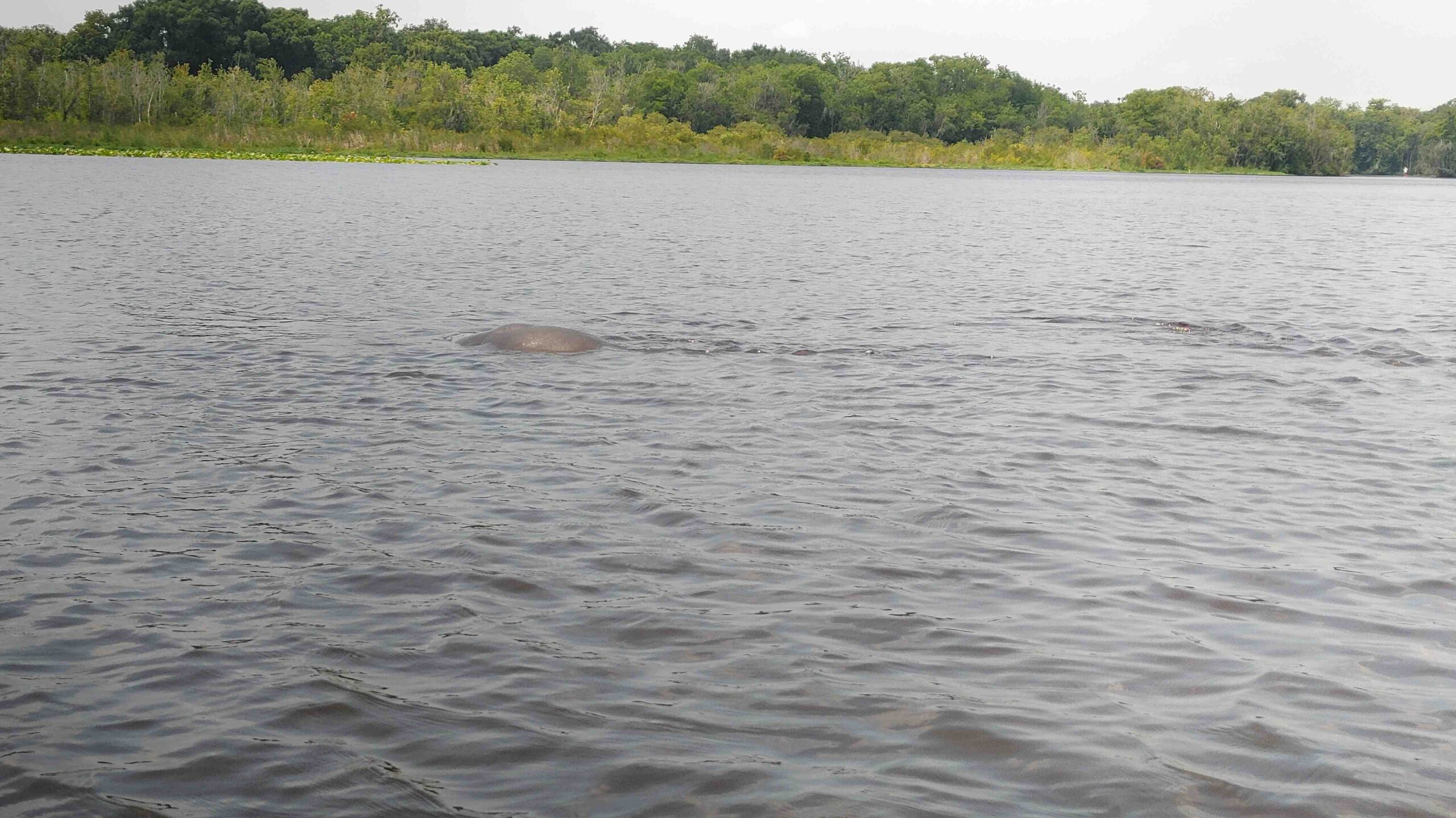 Quels sont les quatre pouvoirs ?