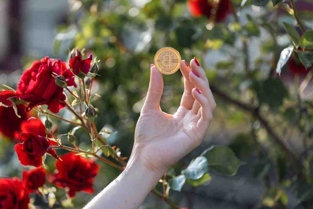 Quelle crypto va monter ?