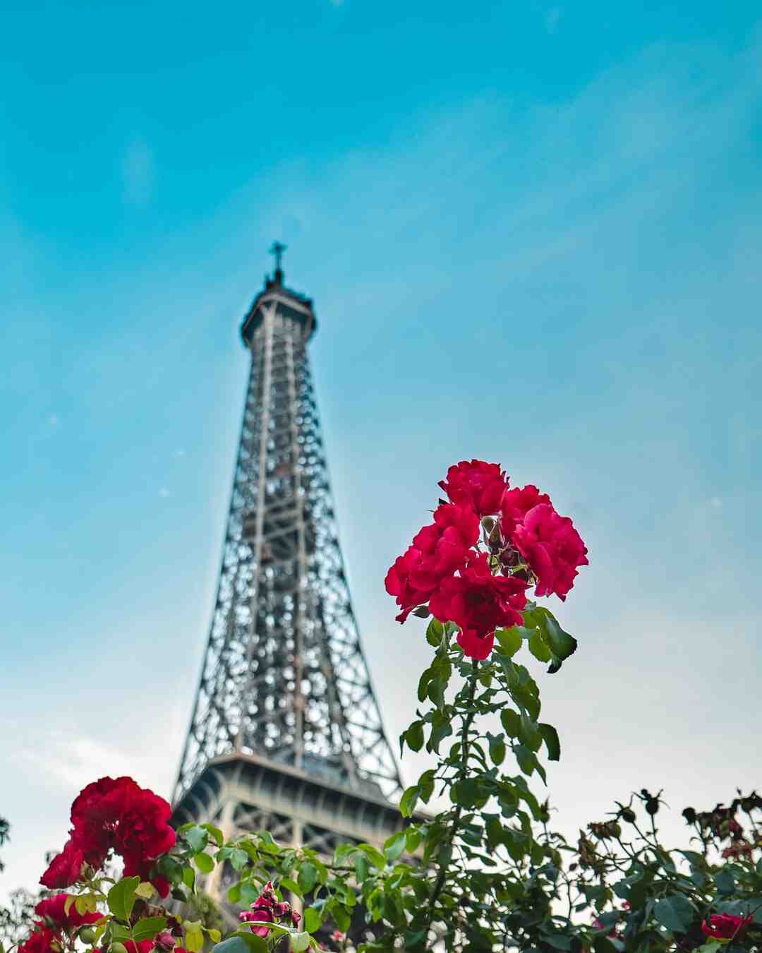 C'est quoi le débat d'idées ?