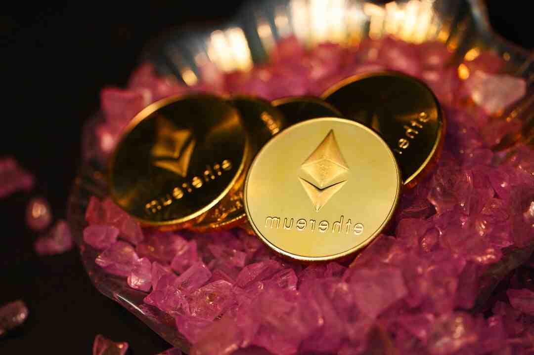 Comment fonctionne crypto dynamique ?