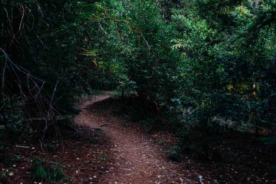 Où sont votées les lois ?