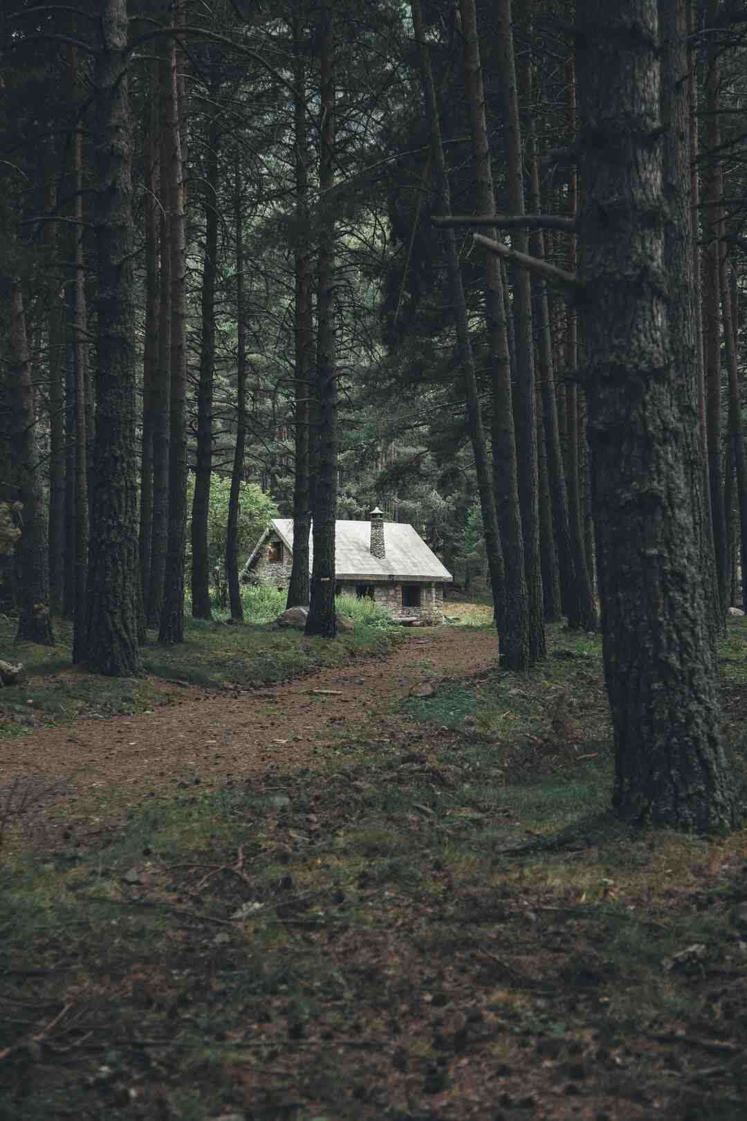 Quel est le rôle d'un délégué dans un bureau de vote ?