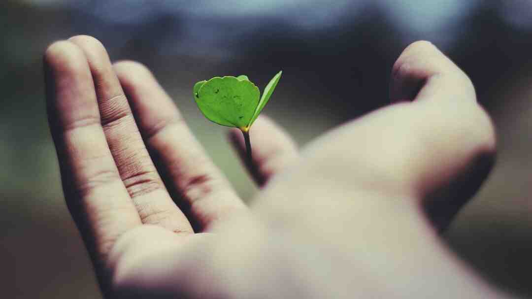 Comment faire si aucune assurance ne veut m'assurer ?